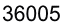 36005 